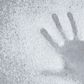 她哭喊40次「不要」 總統府辦事員車上硬來遭判撤職