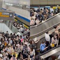 北捷板南線突傳異常 車站人潮爆滿 乘客擠到無法下月台