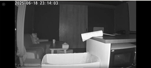 老鼠啃穿藥品紙箱 靠一招「超俗方法」成功誘捕