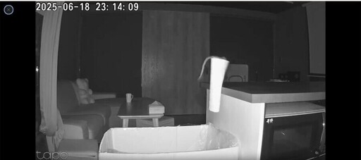 老鼠啃穿藥品紙箱 靠一招「超俗方法」成功誘捕