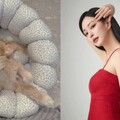 接狗回家竟摔斷腿！韓藝瑟崩潰心疼 證實：職員疏失