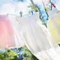 新衣服一定要先洗！醫師曝「不洗直接穿」恐怖後果 服飾業者也點頭