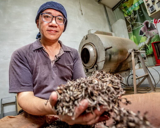 十年磨一茶！三芝粟益民奪美人茶特等獎 新北比賽茶飄果蜜香