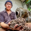 十年磨一茶！三芝粟益民奪美人茶特等獎 新北比賽茶飄果蜜香