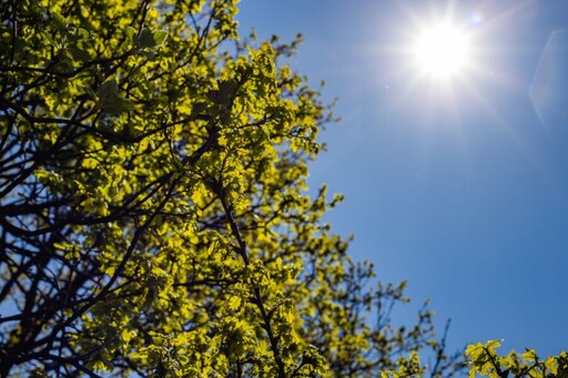 熱爆！6地高溫上看36℃ 氣象署示警：熱帶低壓醞釀中