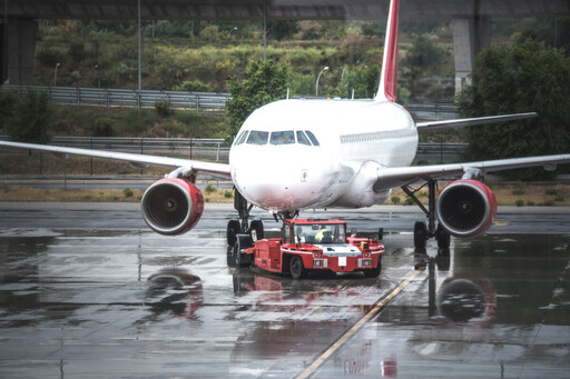 「最危險候鳥」撞毀客機釀慘劇 日本下令107座機場急拉警報線