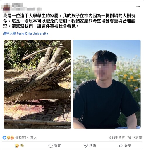 榕樹壓死碩士生「滿月托夢求救」！母泣訴：他說頭上刺刺的