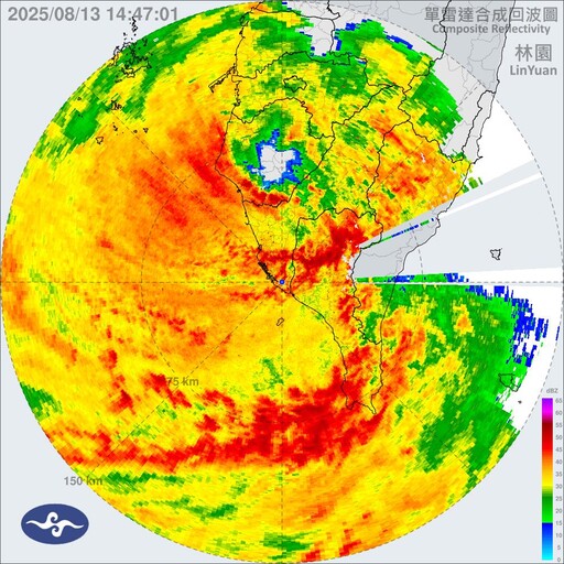 楊柳飆速「颱風中心到台南了」在地人曝現況：放過我們呀