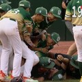威廉波特少棒／中華隊睽違29年「強勢奪冠」 7比0擊潰美國再創榮耀