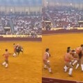 西班牙22歲鬥牛士首場表演遇劫！遭「680公斤巨牛撞飛」腦死喪命