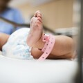 救護車載早產兒急赴轉院 女子發文求「國1駕駛」禮讓 引網友共鳴