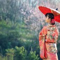 首選台灣！櫻花妹性交易「海外淘金」內幕曝光 月入近百萬
