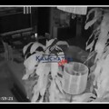 俄羅斯堪察加7.8強震！民眾畫面曝家具狂晃 海嘯警報急撤