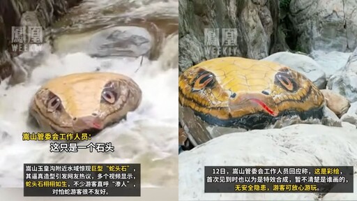 中國「巨型黃金蟒蛇」水面探頭 一票遊客當場冷汗直流