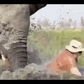 旅遊觀光差點把命喪！波札那大象暴怒掀翻小船 驚悚畫面曝光