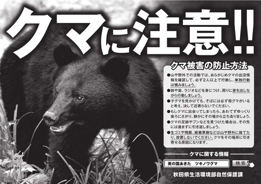 日本秋田熊害惡化！今年已50起傷亡 高齡獵人疲於奔命：比疫情還怕出門