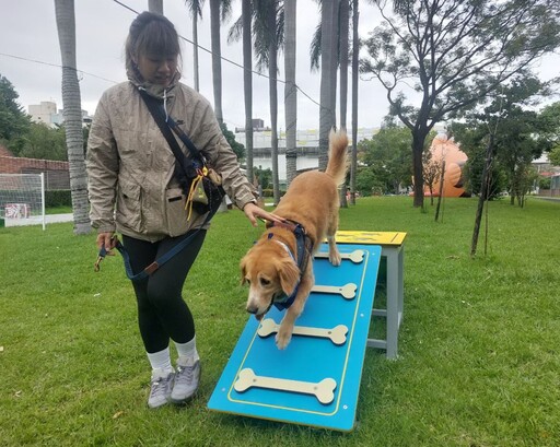 毛寶貝同樂迎耶誕 新北打造寵物友善遊樂園溫馨登場
