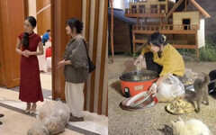 1年跑遍百場婚宴！正妹帶紅包打包剩菜原因暖到哭