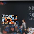 LG OLED限定展覽「永恆花境」於Diamond Towers震撼登場