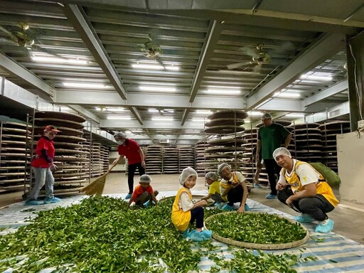 茶之魔手五星級製茶廠首度開放 600位民眾不畏颱風 搶爆入場門票