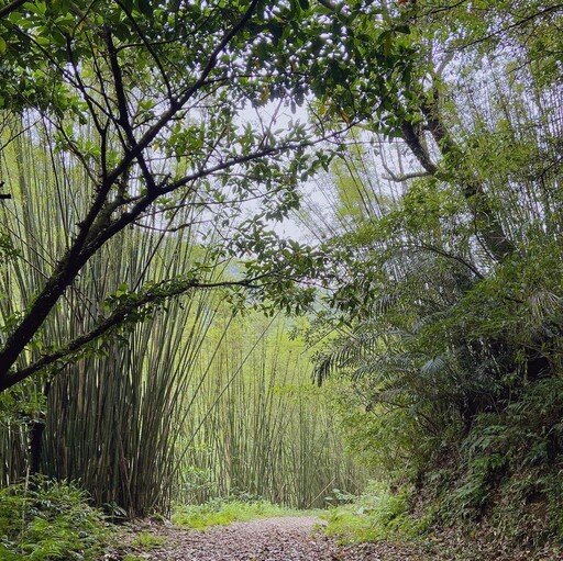 基隆景點｜趁著2024基隆親水季帶著孩子一起到基隆暖暖走走！