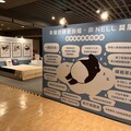 給身體最完美充電座 日本「NELL奈爾樂眠床墊」