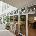 來自日本「WIRED CAFE」日月町新菜單登場 埔里美食驚喜升級 品味再進化