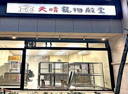 台灣兆元產業「毛」經濟 新莊寵物店分析寵物特許行業規定與市場走向