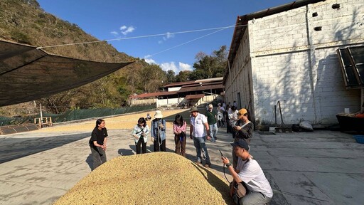 中美洲經貿辦事處率台咖啡業者深入薇薇特南果 走訪瓜地馬拉精品莊園