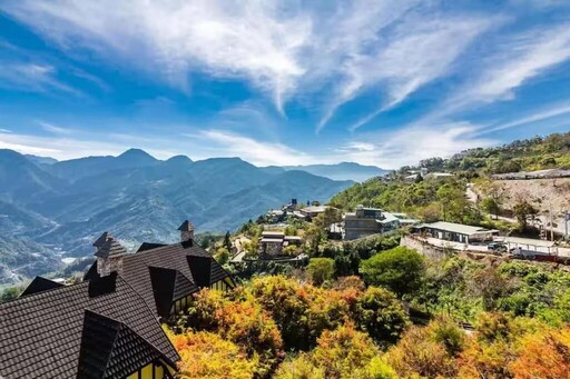 清境農場住宿推薦 南法風格南投景觀民宿 藏身高山落羽松森林間