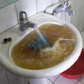 彰化洗水管推薦 水管清潔與水塔保養一次搞定 還你純淨用水