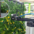授粉、除草、投餵AI一手包 工研院科技牧場智慧農漁週