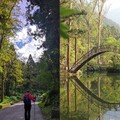 南投景點｜溪頭森林遊樂區全攻略 交通、門票、周遭景點一次告訴你