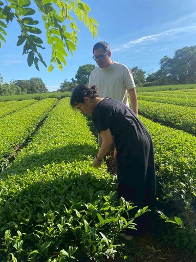 從苗栗山城到新加坡餐桌《豐味苗栗》貓裏紅登上五星級餐桌