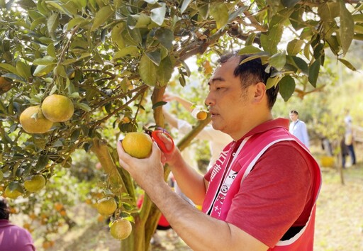 齊心護農 台積電12B廠聯手20廠公益採柑趣！