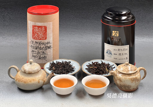 佤邦原始林紅茶與保山國有林紅茶評賞