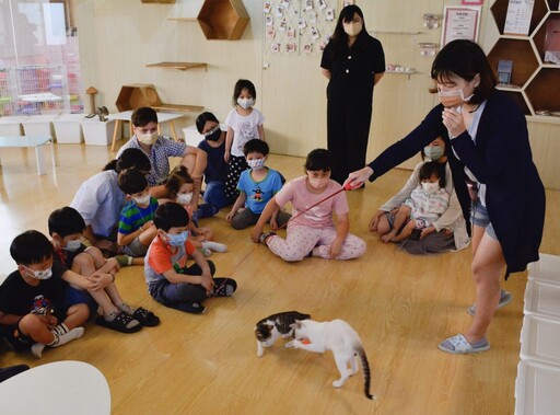高雄青創寵愛毛孩，8年級生開設貓咪咖啡館！助500隻流浪貓找到新家