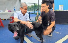 台積電運動會攜手中華保護動物協會 推出寵物路跑與健康檢查活動