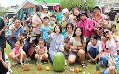 立瓜高手!屏東端午立西瓜「好運龍總來」旺旺旺