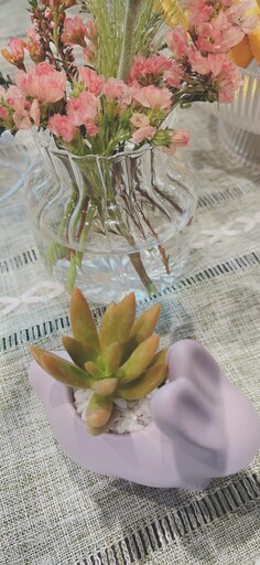 「綠色商機」 浪漫上架，「多肉植物」療癒有方