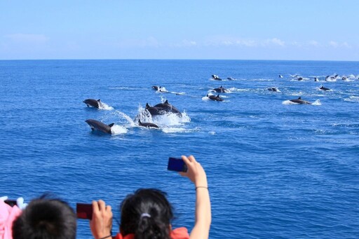 鯨世界賞鯨榮耀金牌回饋 名字有「麟」、「洋」免費賞鯨 ，與鯨奇相遇在花蓮