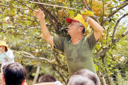 炎炎夏日來去新埔小鎮深度遊趣！ 桃竹苗分署輔導民間團體推出特色體驗活動