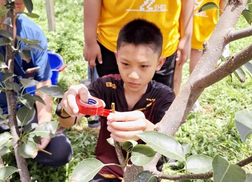 炎炎夏日來去新埔小鎮深度遊趣！ 桃竹苗分署輔導民間團體推出特色體驗活動