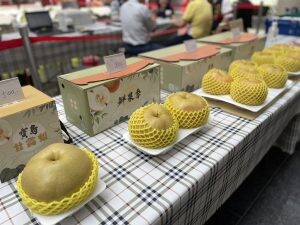 林仁傑農友獲今年度寶島甘露梨王 台中寶島甘露梨果品評鑑結果揭曉