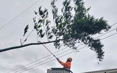 台電新竹啟動最高警戒因應山陀兒颱風 逾萬戶停電全力動員搶修全面供電