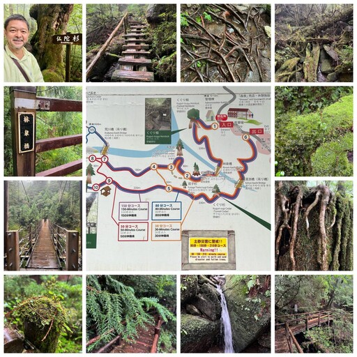 ［Yakushima 屋久島］