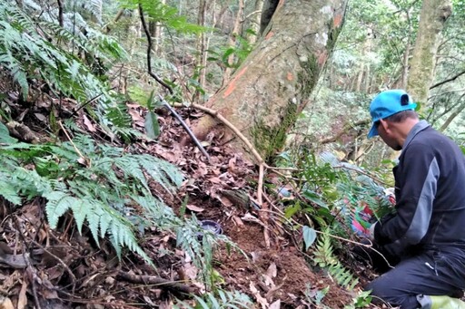 保育野生動物並延續狩獵文化 林保署新竹分署大力推廣改良式獵具維持農民生計