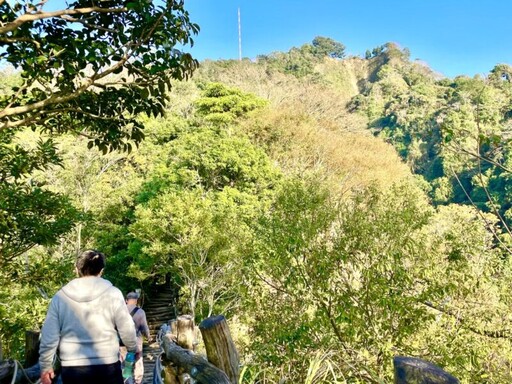 二號彩色森林步道美景開箱 台中大坑登山步道春遊減脂