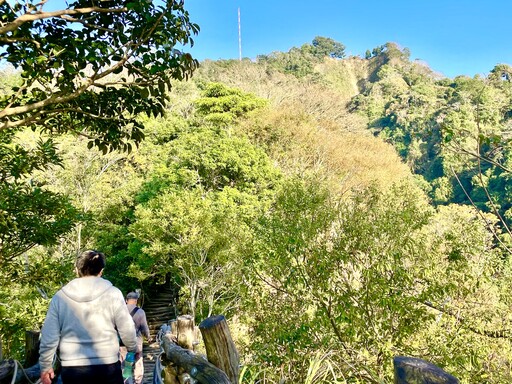 二號彩色森林步道美景開箱 台中大坑登山步道春遊減脂