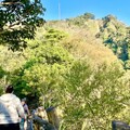 二號彩色森林步道美景開箱 台中大坑登山步道春遊減脂